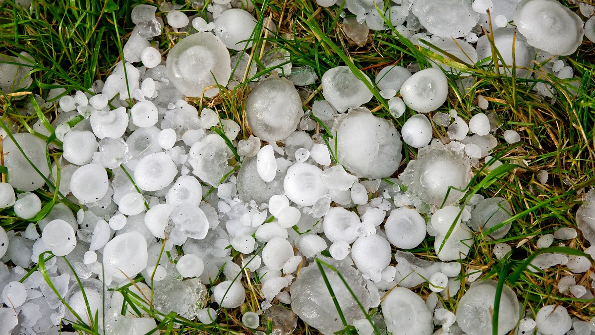 Wczesnym popołudniem w województwie łódzkim wystąpiły opady gradu. Lecące z nieba lodowe kule najbardziej dały się we znaki mieszkańcom Zgierza.