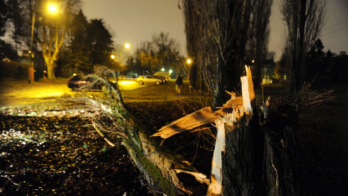 Trzy osoby zginęły w powiecie lęborskim (Pomorskie) w samochodzie, na który z powodu silnego wiatru zwaliło się drzewo. Jedną osobę ranną odwieziono do szpitala.