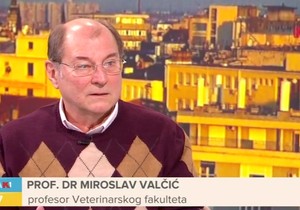Prof. dr Miroslav Valčić