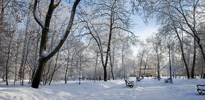 Arcydziwna pogoda tej zimy w Polsce!