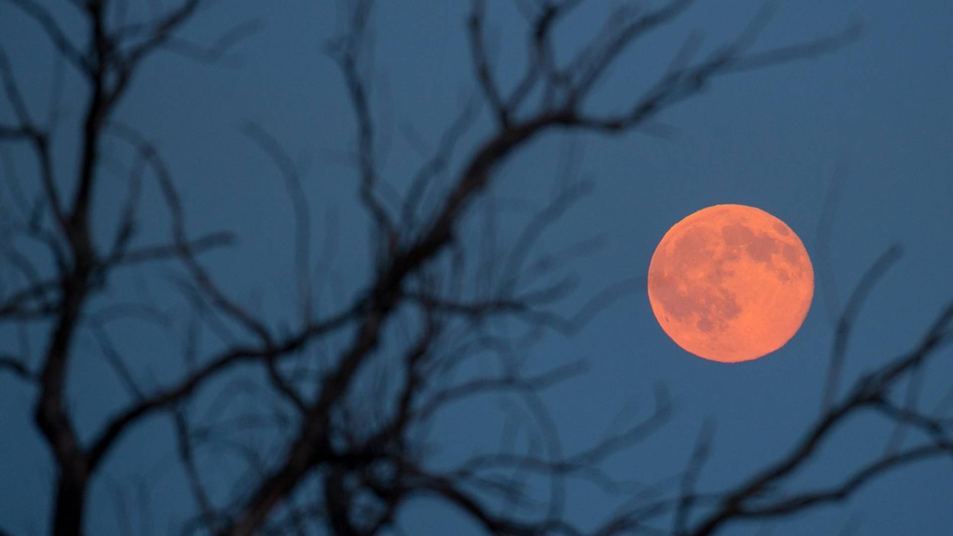 Šta je sad pa taj "medeni Mesec" koji nam stiže u junu?