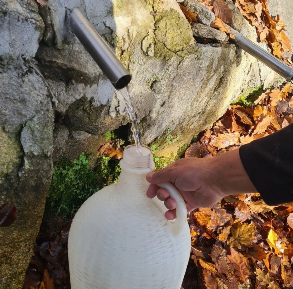 Lekoviti izvor na padinama planine Čemerno