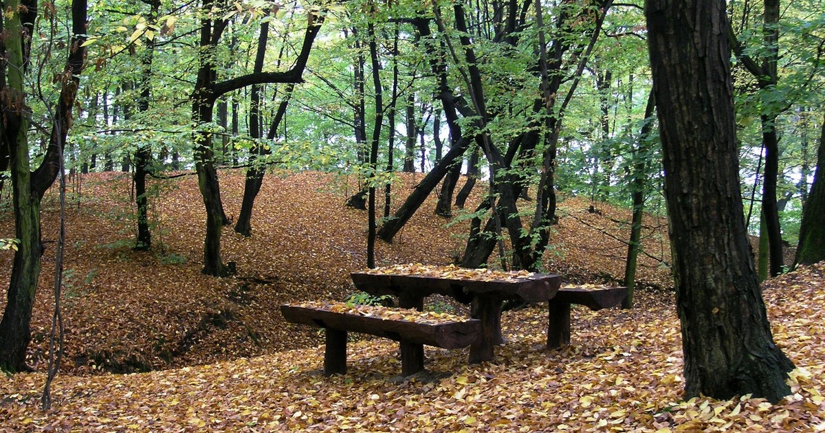 Trwa czarna seria z udziałem młodych ludzi. Na warszawskich Bielanach znaleziono ciało 17-latka