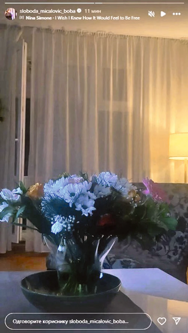 sloboda micalovic, dom