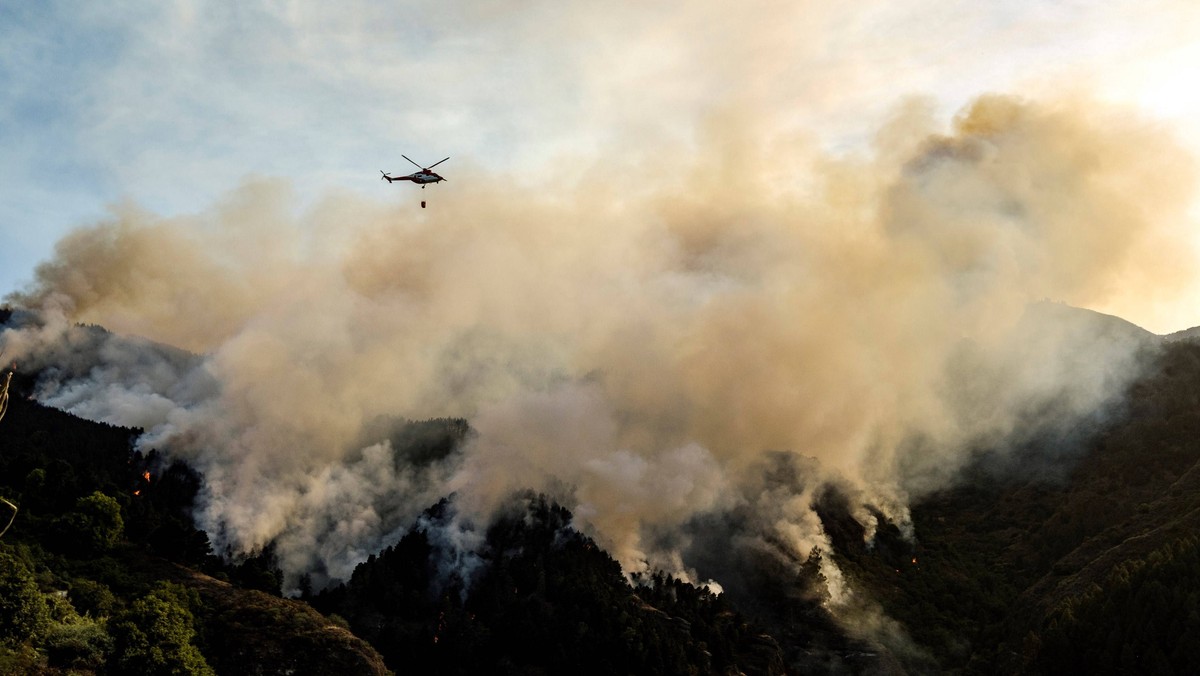 Hiszpania. Pożary lasów na wyspie Gran Canaria