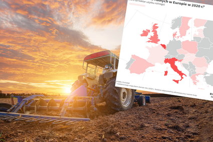 Ceny ziemi rolnej dużo wyższe niż we Francji, a Wielkopolska w europejskiej czołówce. Oto powód