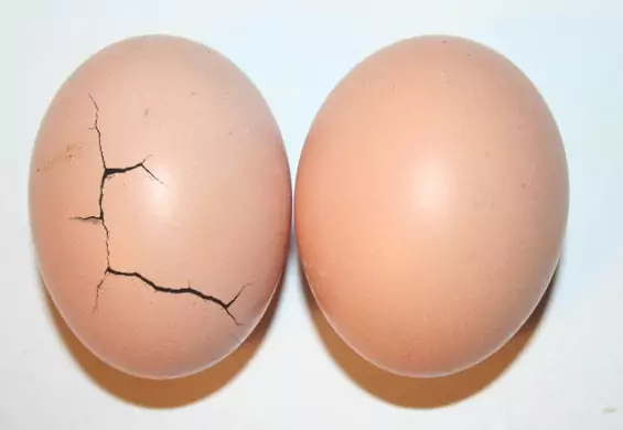 Kopniak w jaja to największy koszmar faceta. Dlaczego aż tak boli?
