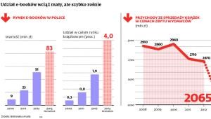 Udział e-booków wciąż mały, ale szybko rośnie