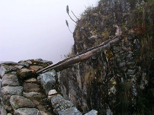 Galeria Peru – inkaską autostradą do Machu Picchu, obrazek 26