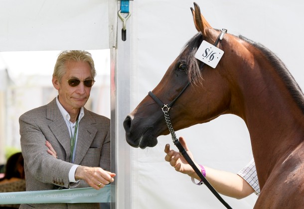 Charlie Watts, perkusista zespołu The Rolling Stones, obserwuje klacz o imieniu Eka podczas Dni Konia Arabskiego – Polska 2010 w Janowie Podlaskim, 8 sierpnia 2010 r.