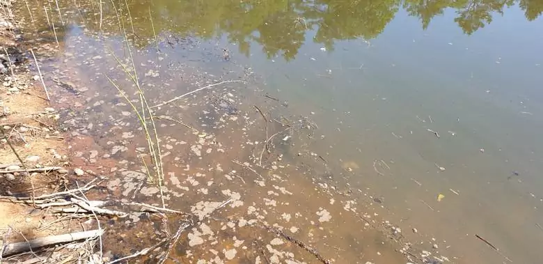 Katastrofa ekologiczna w Jeziorze Głębokim  