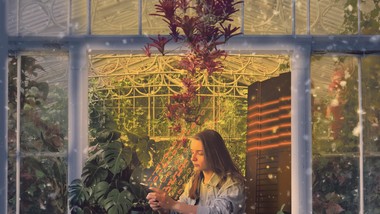 dlaczego sztuczna inteligencja działa na nasze mózgi jak szklarnia?