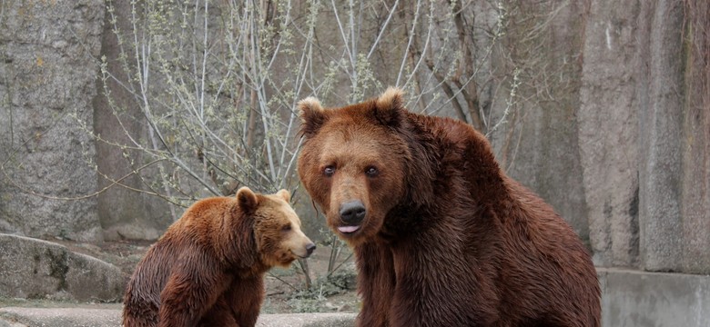 Ogrody przetrwania. Zoo stanie się reliktem przeszłości?