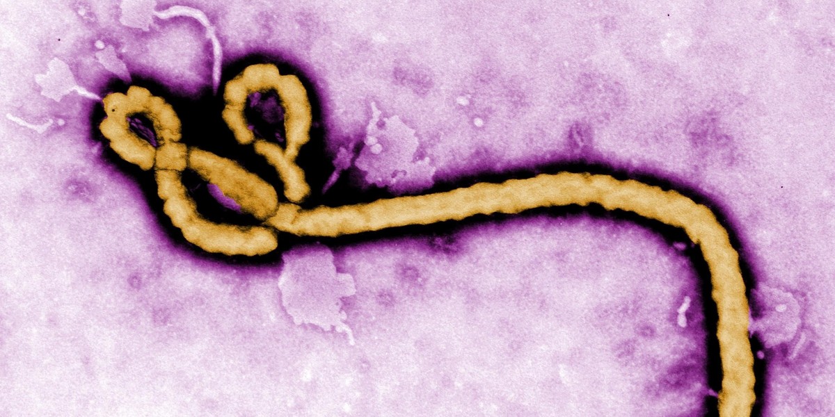 Ebola