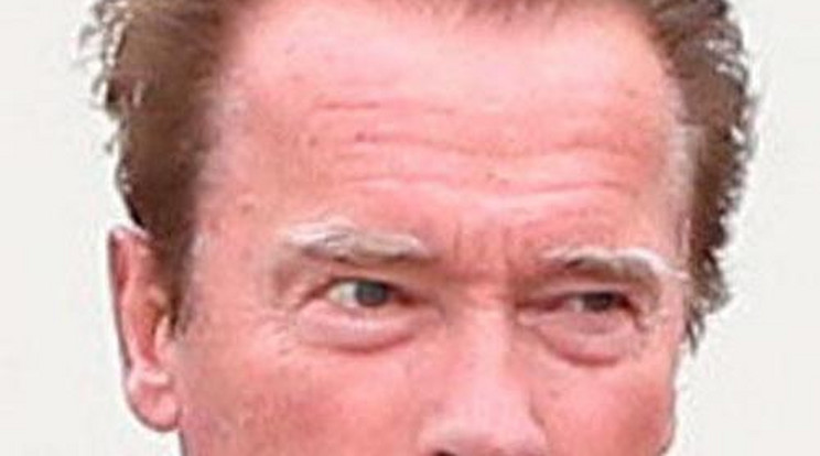 Szépségtrükkre szorul Schwarzenegger - fotó!