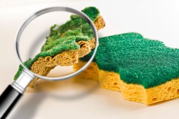 Ennyi kórokozó él a konyhai mosogatószivacsban! Erről jó, ha tud
