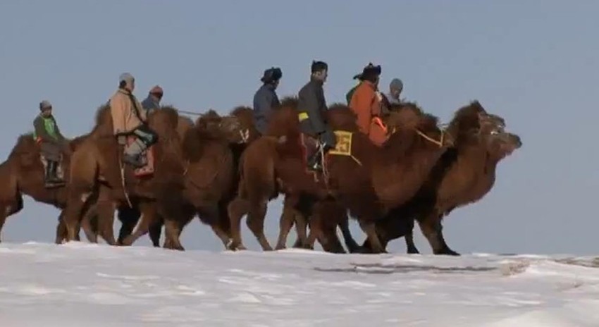 Kamile nekad šetale i okolinom današnjeg Lebana?