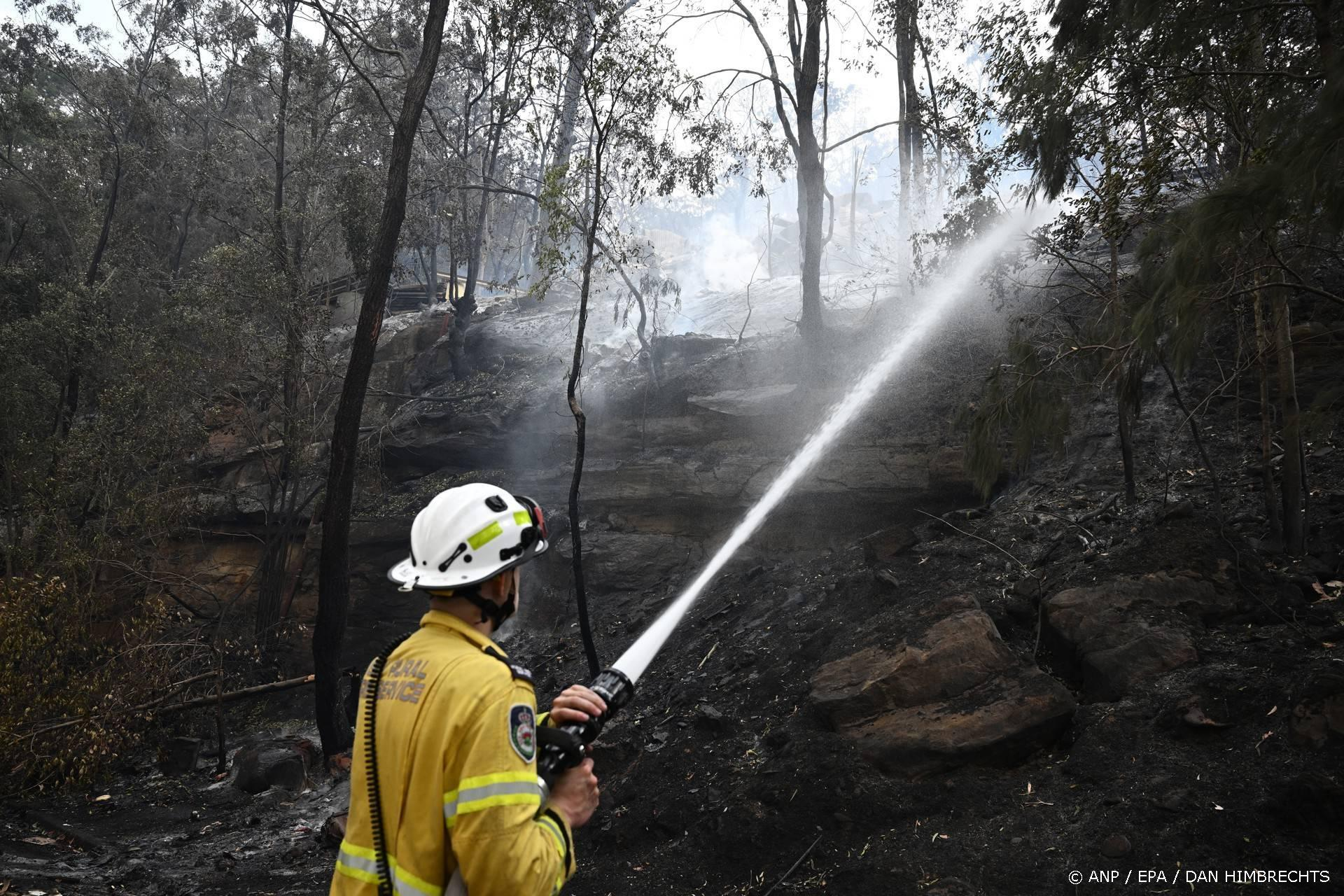 Tientallen bosbranden nabij Sydney: Geen doden ondanks grote schade
