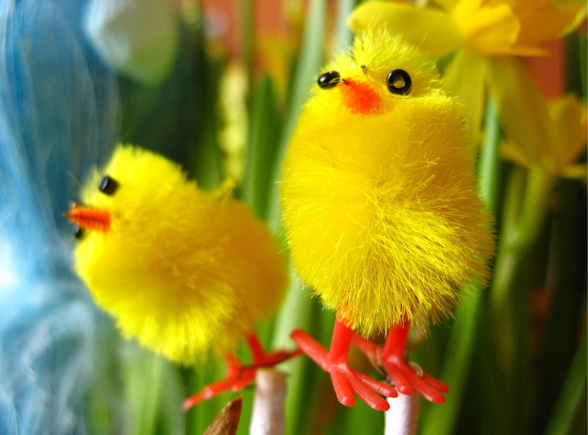 Z okazji Wielkanocy sklepy oszukują na potęgę