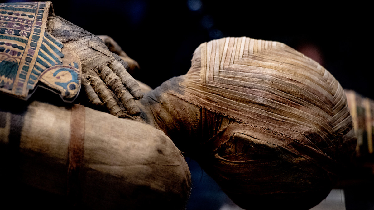 Odkryli egipski "zapach wieczności". Tak pachniała śmierć 3,5 tys. lat temu