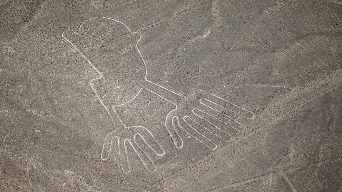 W rejonie słynnego płaskowyżu Nazca odkryto mumię o podłużnej głowie i trzech nienaturalnie długich palcach u każdej z kończyn. Jej zbadaniem zajęła się grupa uczonych, którzy twierdzą, że dziwne znalezisko jest autentyczne. Internauci są jednak podzieleni.