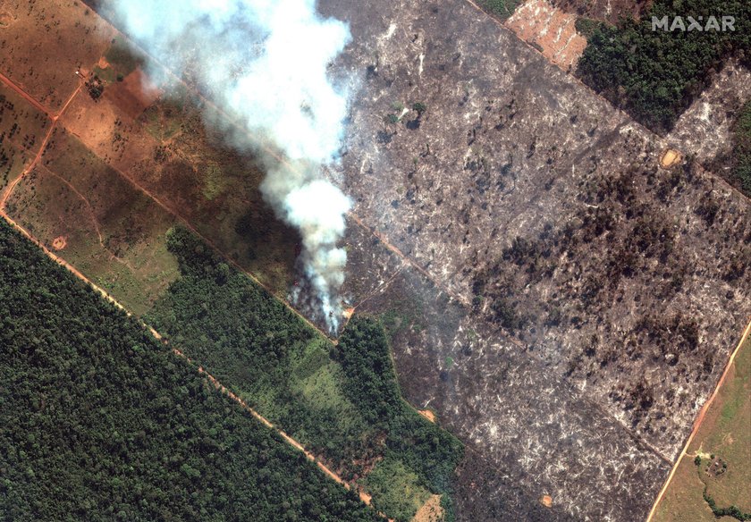 Pożar Amazonii. Płoną lasy deszczowe. Płuca świata zagrożone ogniem