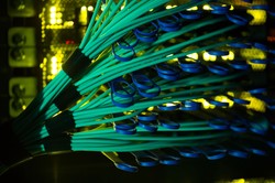 Holandii grozi utrata suwerenności cyfrowej. Jest zbyt uzależniona od dostawców technologii z Chin i USA