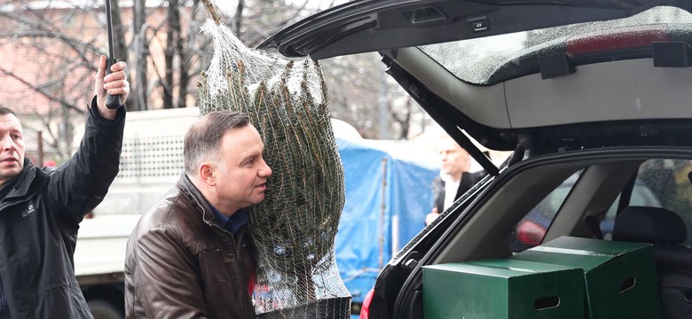 Prezydent kupił choinkę. Ile wydał?