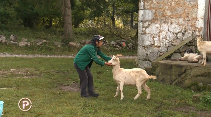 O životinjama, čini se, brine više nego o sebi