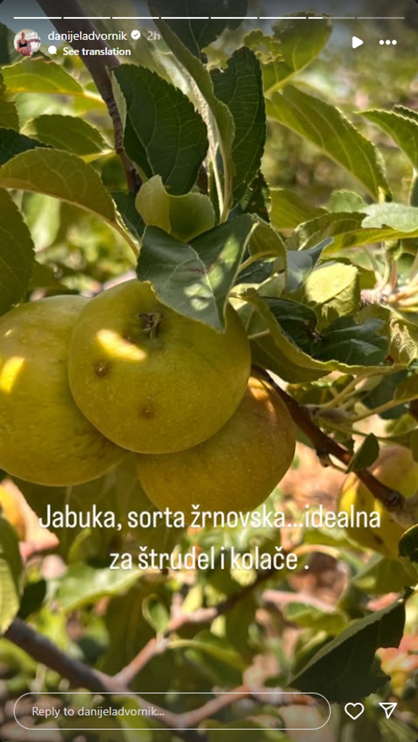 Danijela Dvornik se pohvalila plodovima iz voćnjaka