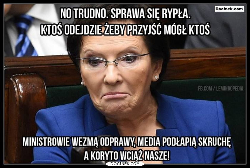 Dymisja rządu Ewy Kopacz. MEMY