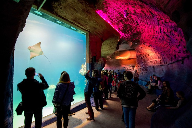 Wrocławskie Afrykarium