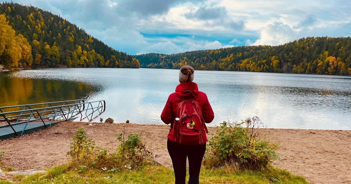 Joanna mieszka w Norwegii. "Można oszczędzić"