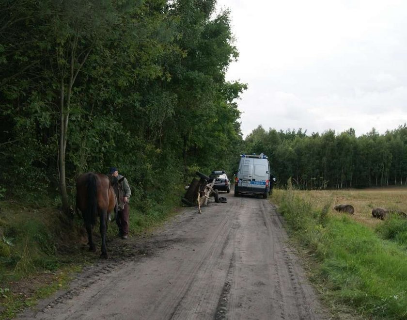 Koń się zderzył z traktorem