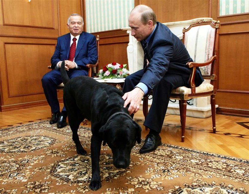 Ostatnio w mediach głośno było o nowym piesku Putina. Premier Rosji postanowił to jeszcze bardziej rozdmuchać i... ogłosił konkurs na imię dla swojego nowego pupila