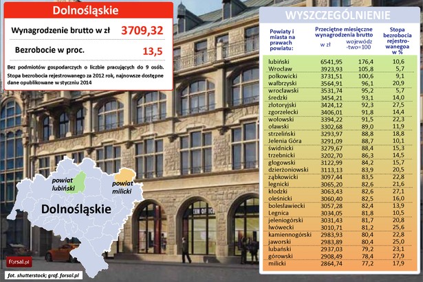 Średnie wynagrodzenie w woj. dolnośląskim nie różni się znacznie od średniej krajowej i wynosi 3709 zł brutto (średnia dla Polski to 3744 zł według danych za 2012 rok). Na tle innych powiatów województwa zdecydowanie wyróżnia się pow. lubiński, w którym średnia wynagrodzeń jest najwyższa w całej Polsce i wynosi 6542 zł brutto. Tak wysoki poziom płac wynika z tego, że pow. lubiński jest zagłębiem przemysłu miedziowego. Na jego terenie działa górnicza spółka KGHM. Innymi znaczącymi firmami działającymi w powiecie są Zakłady Górnicze Lubin i Huta Miedzi Cedynia w Orsku. Kolejnym powiatem w woj. dolnośląskim, w którym płace są wyższe od przeciętnej w Polsce jest Wrocław (miasto na prawach powiatu). Swoje fabryki i centra rozwojowe ma tu wiele zagranicznych korporacji, np. Siemens, Nokia Siemens Networks, Volvo, HP, IBM, Google czy Opera.