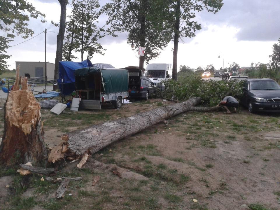 Solec Zdrój, powalone drzewo przez wiatr, zginęła jedna osoba, fot. Oskar Tobołkiewicz/Daj znać