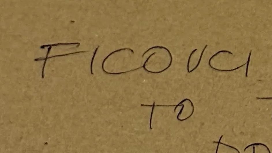 Jeden z voličov v Bratislave vyjadril svoj názor proti Ficovi. 