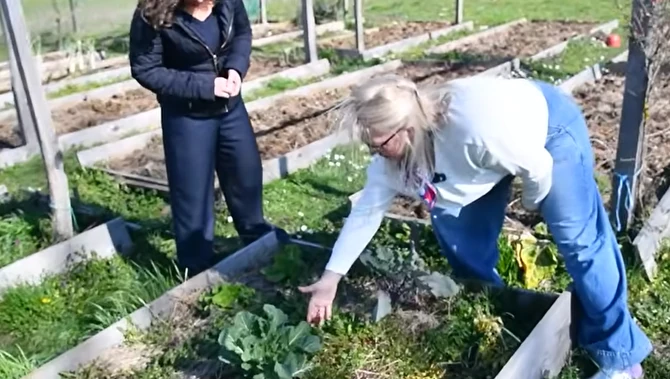 Angelina gaji sama svoje biljke