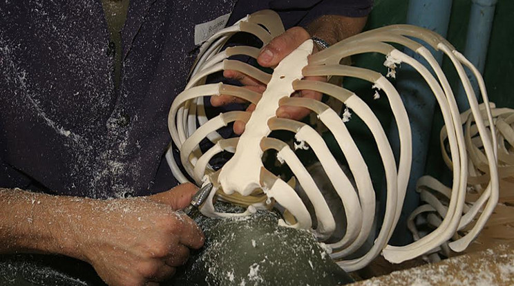 Az elítéltek egy része csontvázakat készít a rácsok mögött