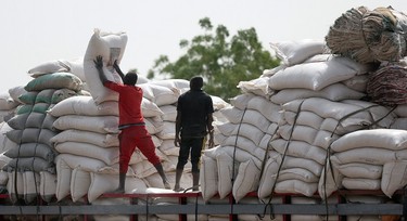 FG to begin distribution of grains nationwide this week to address hardship