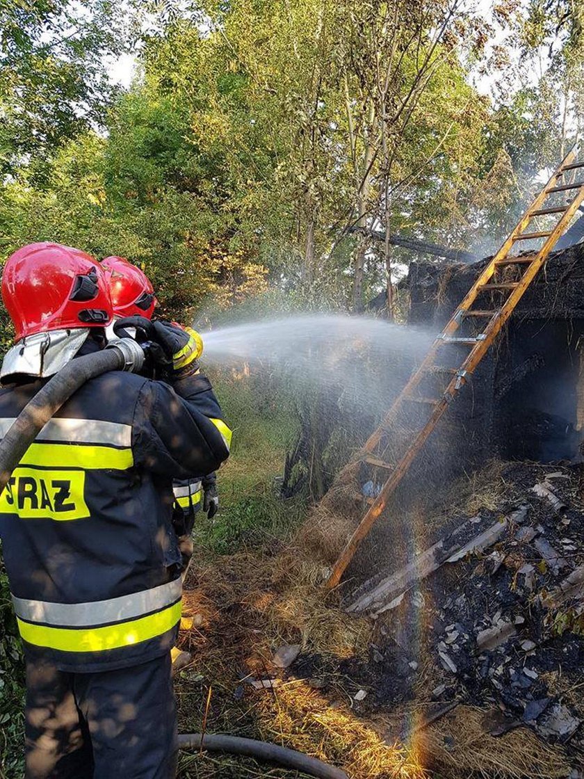 Tragiczny pożar