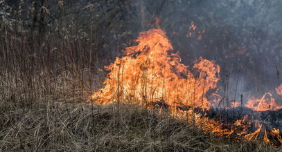 Nie wypalaj traw! Możesz zapłacić 20 tys. zł kary