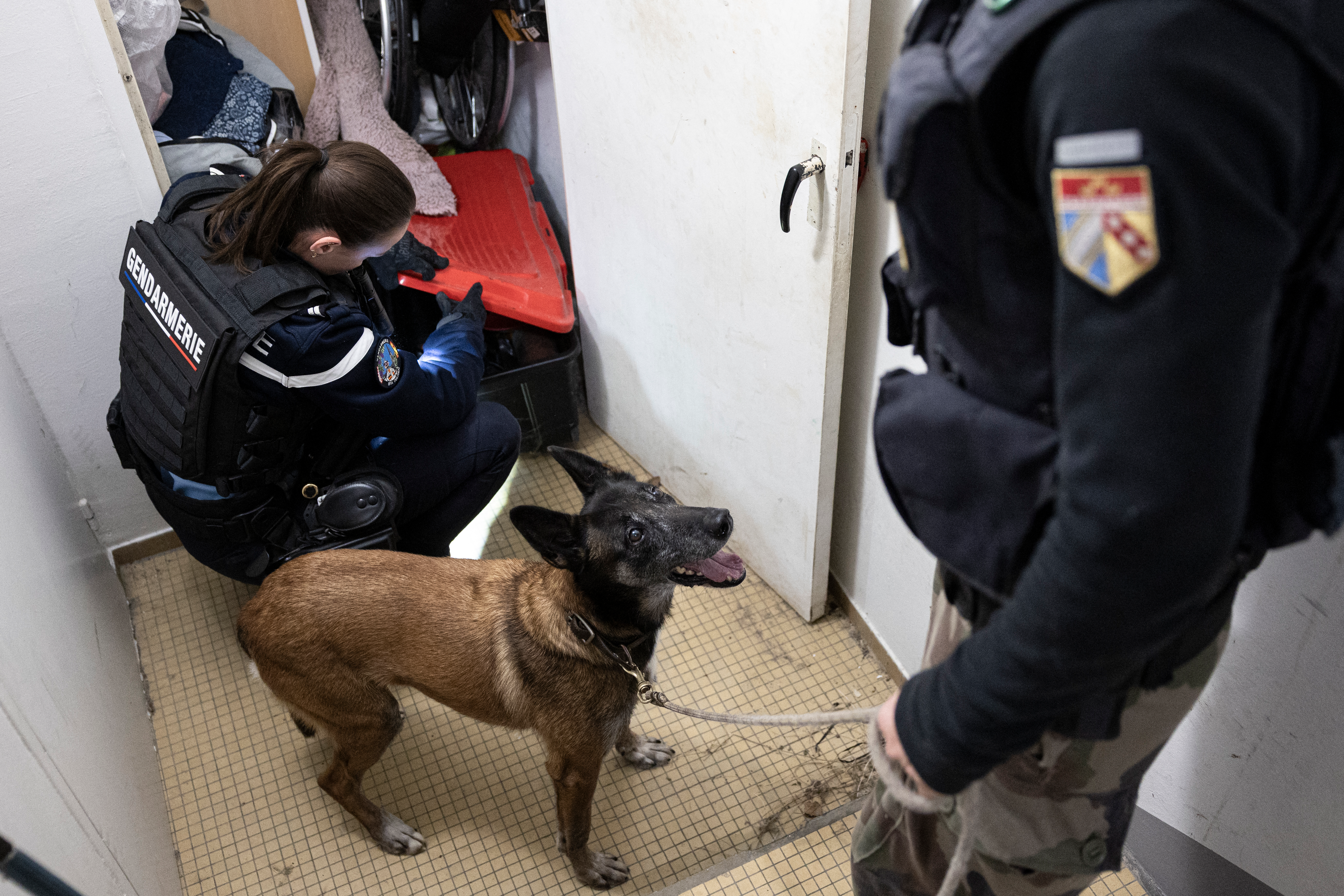 Alerte terroriste : la France renforce la sécurité pour le Nouvel An