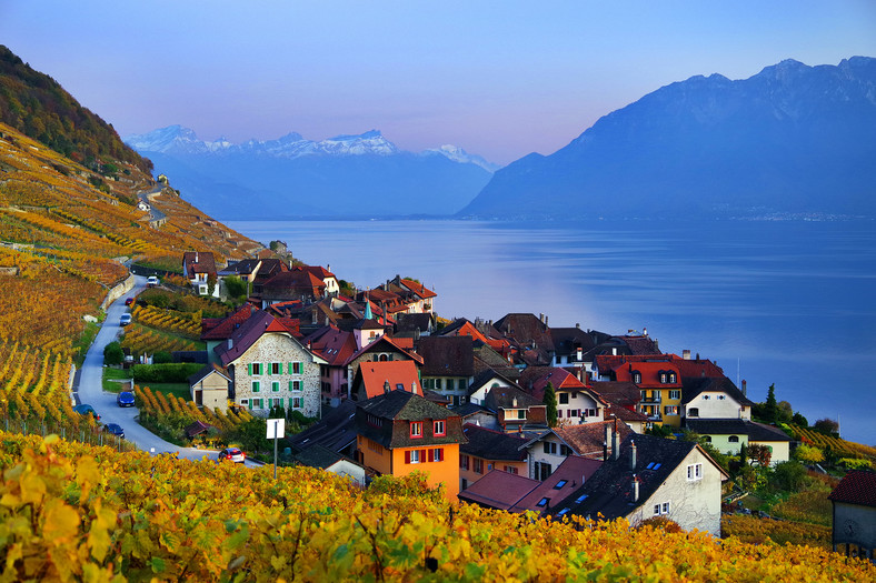 Lavaux 