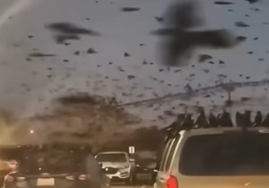 Apokaliptične scene u Tel Avivu