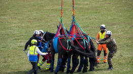 Igen, három lovat szállítottak helikopteren: repülő lovak, nem vicc – fotók