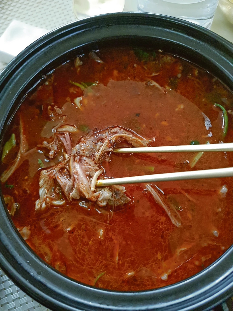 Dinstani pas u pikantnoj supi