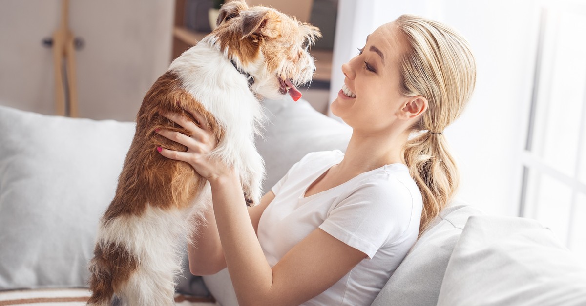 Co z obowiązkowym czipowaniem psów? Resorty przez cały czas spierają się o KROPiK