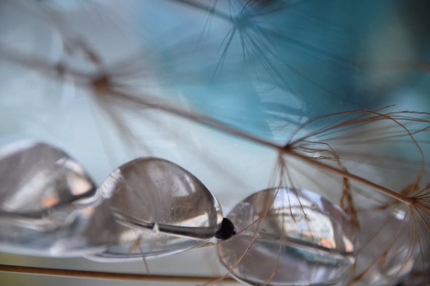 Zrak sunca u mojoj mreži